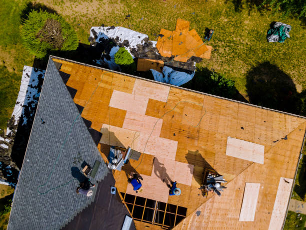Best Metal Roofing Contractor  in Boutte, LA