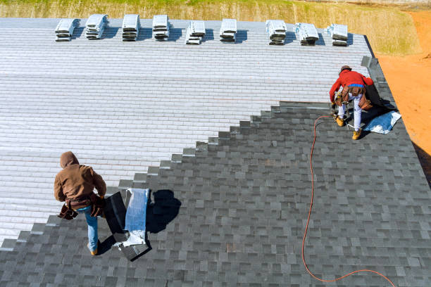 Best Roof Gutter Cleaning  in Boutte, LA