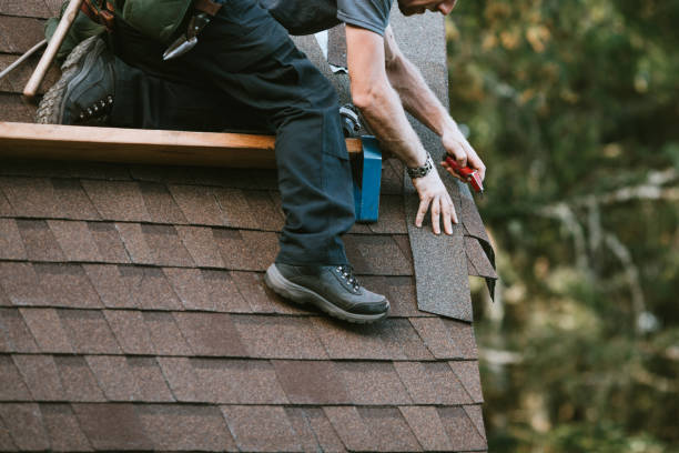 Best Gutter Installation and Roofing  in Boutte, LA